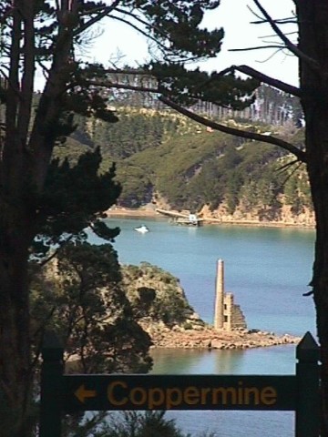 Kawau Island Coppermine Through Trees